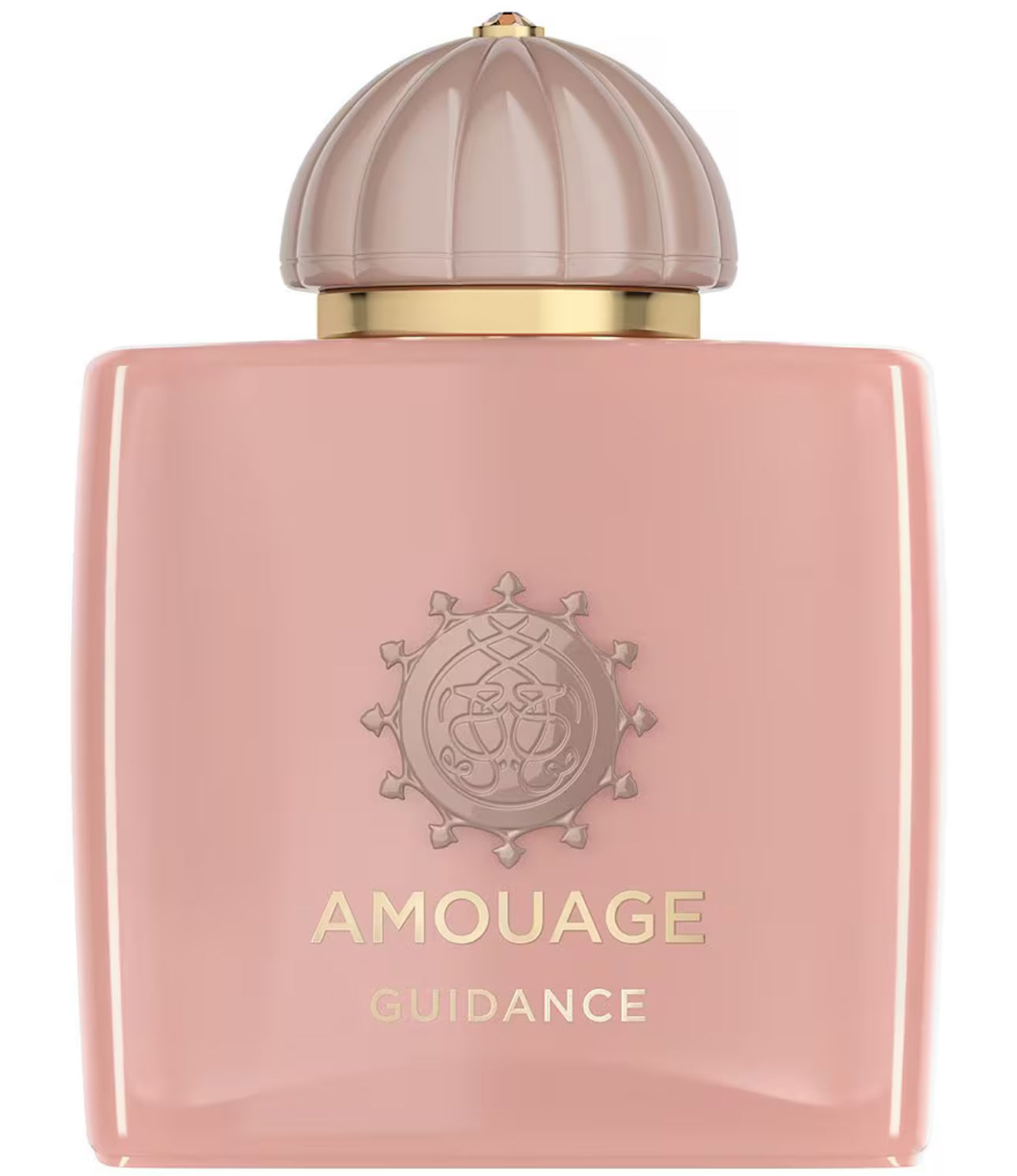 AMOUAGE - Guidance EDP | Perfume / Cologne Sample